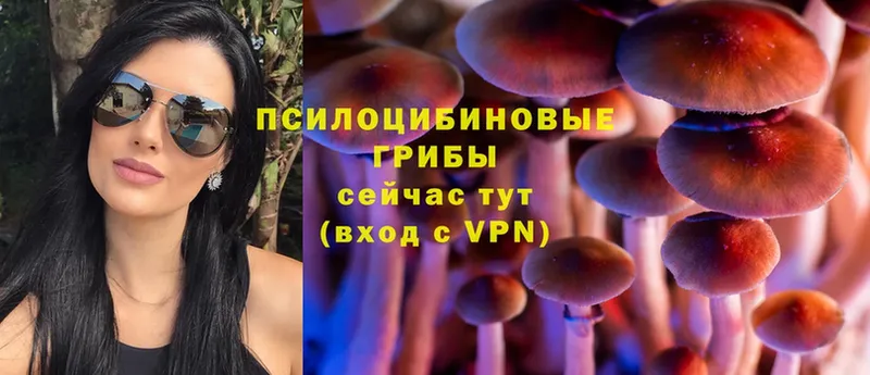 Галлюциногенные грибы Magic Shrooms  закладка  Махачкала 